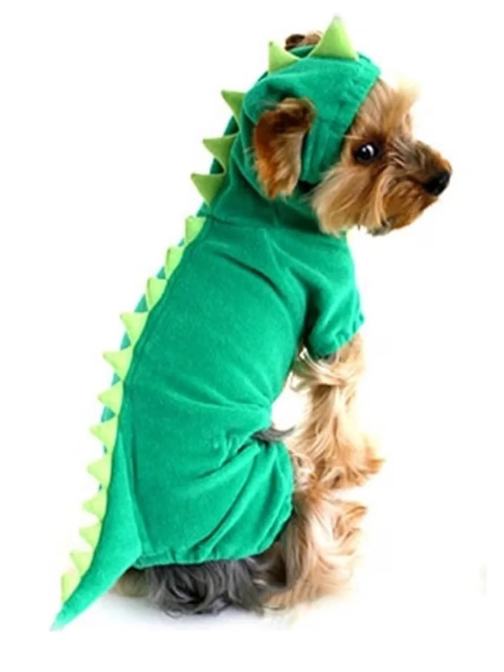 Dog Dinosaur Halloween Costume